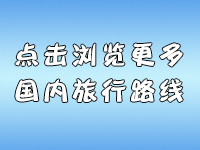 国内旅游